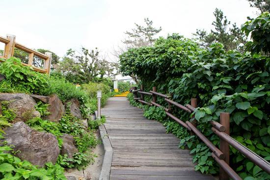 Haeansung Pension Seogwipo Exterior photo